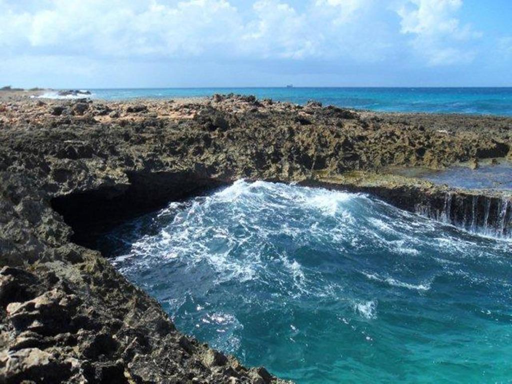 Aruba Cunucu Residence Palm Beach Eksteriør bilde